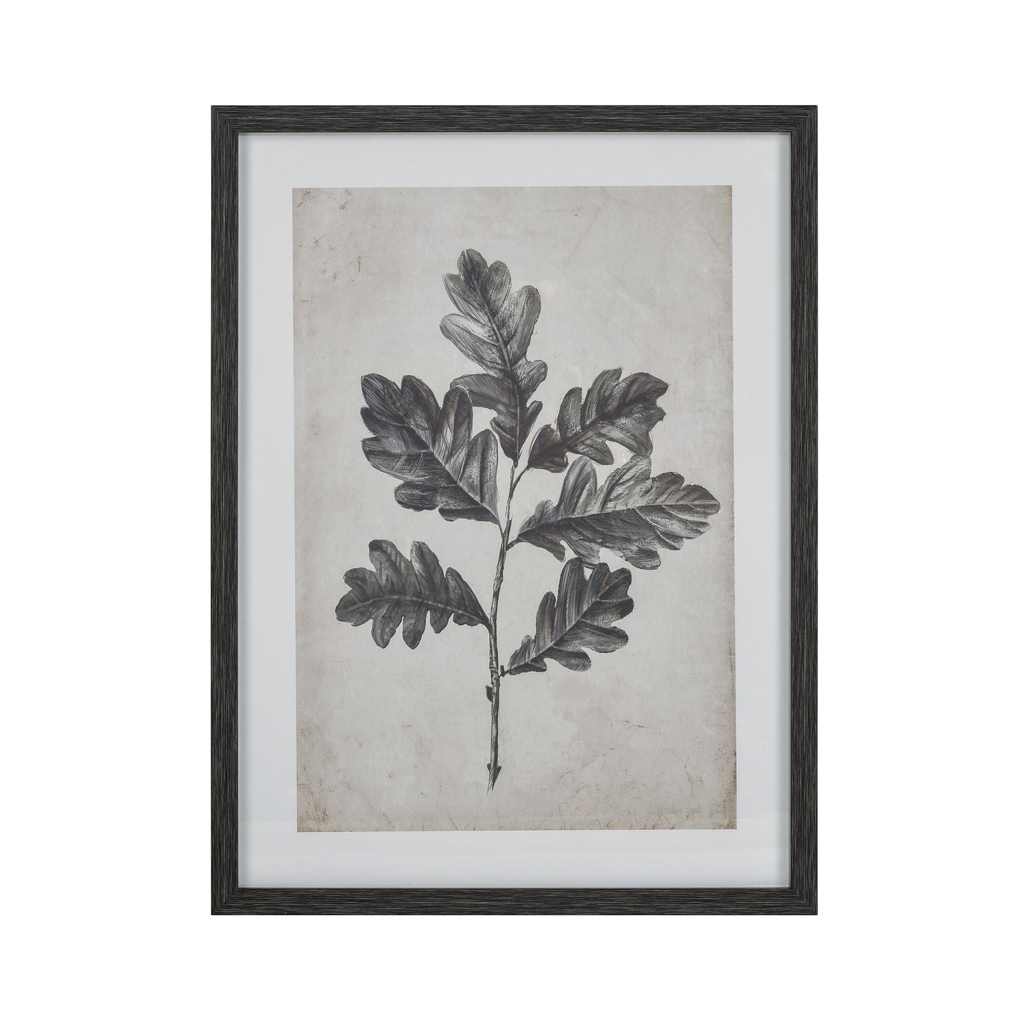 ELK Home - S0056-10635 - Framed Wall Art - Oak Botanic - Black