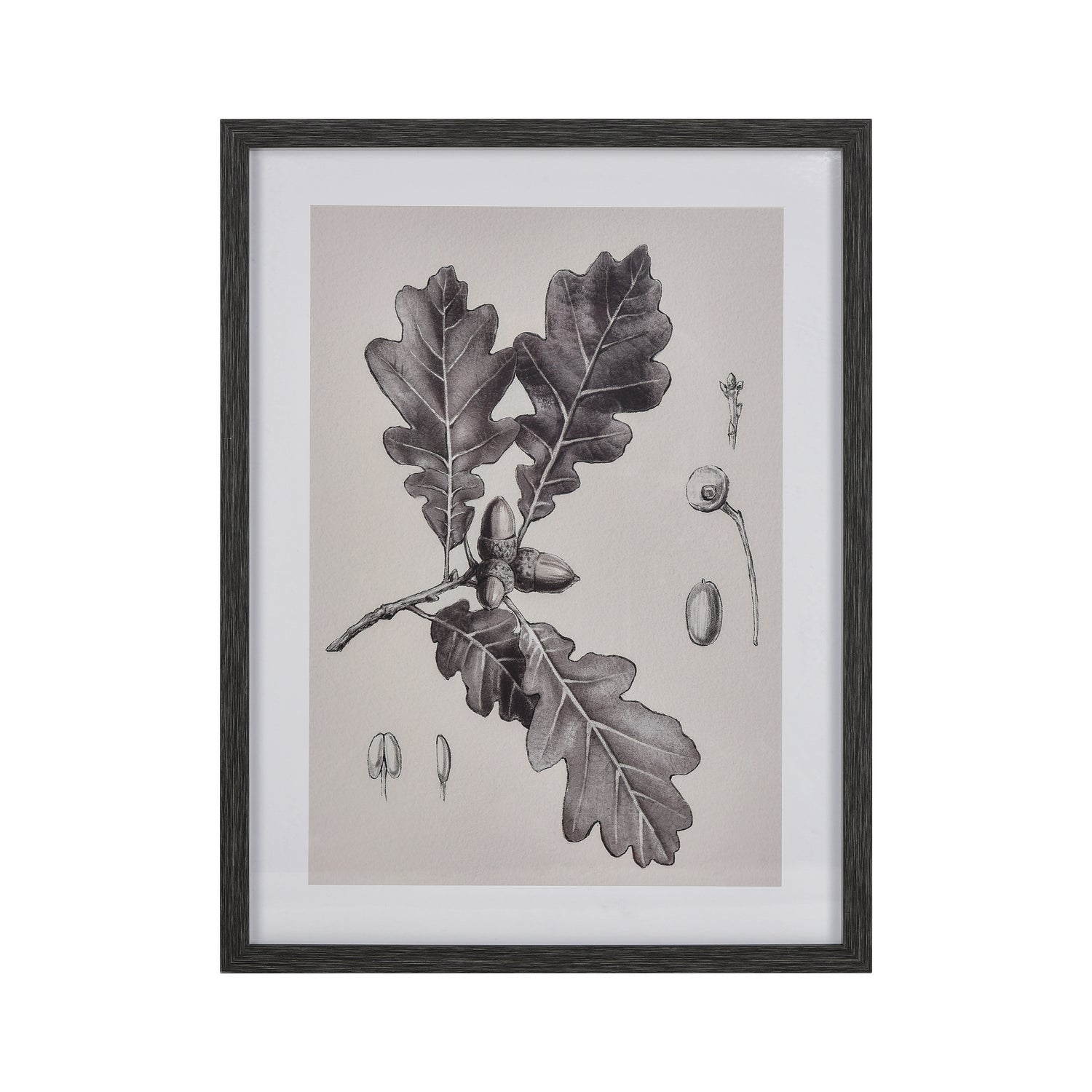 ELK Home - S0056-10636 - Framed Wall Art - Oak Botanic - Black