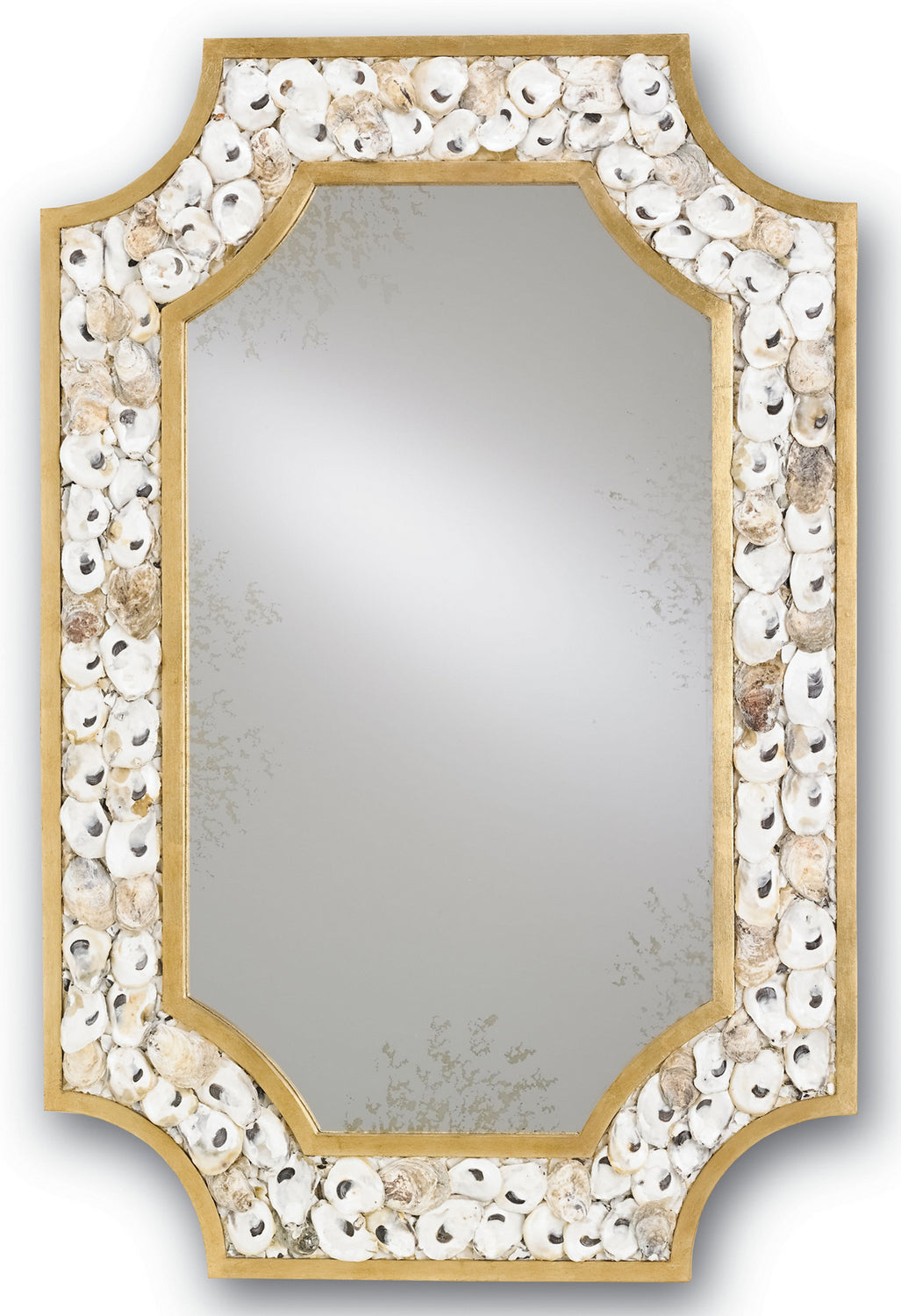 Mirror from the Margate collection in Contemporary Gold Leaf/Natural/Antique Mirror finish