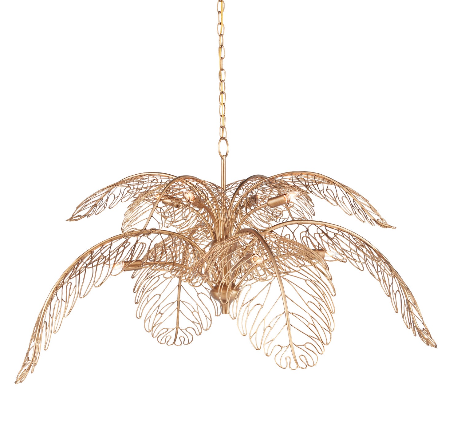 Eight Light Chandelier from the Taormina collection in Brass finish