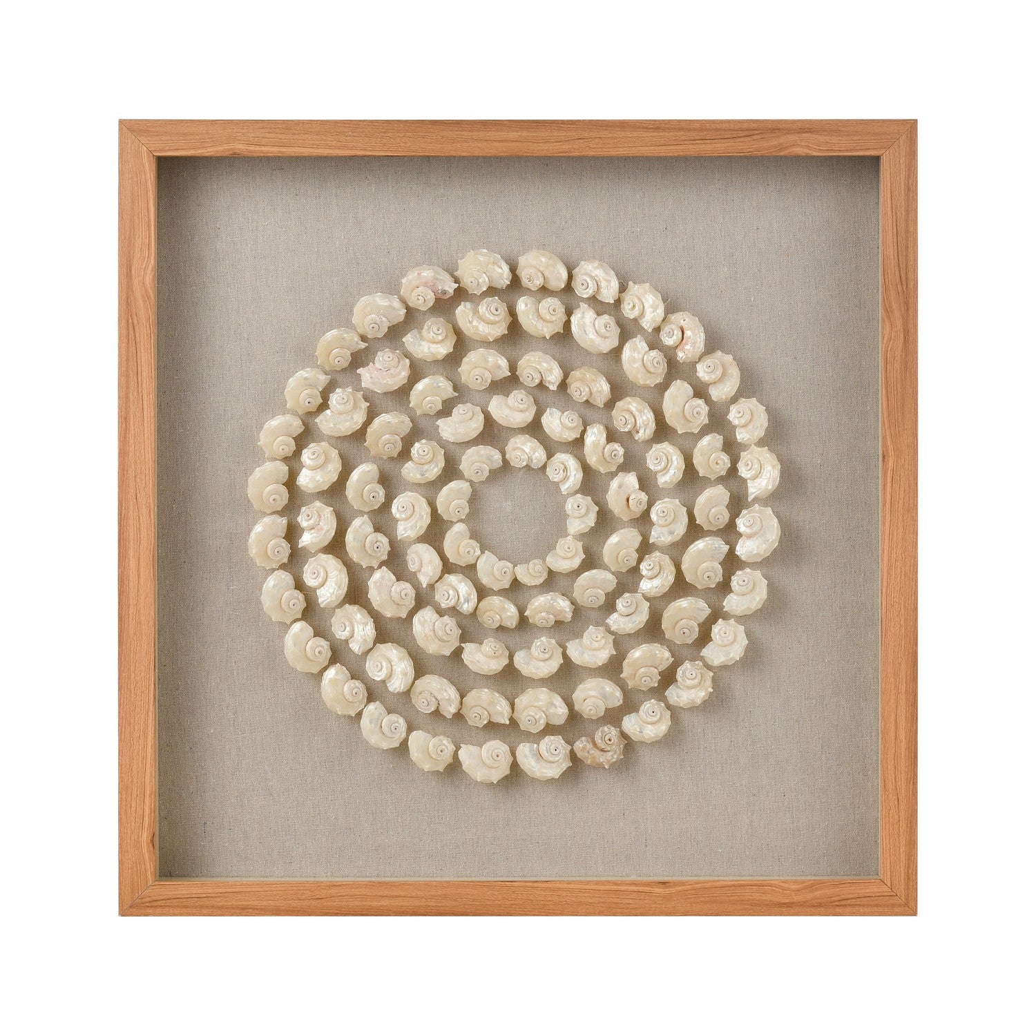 ELK Home - S0036-11263 - Wall Art - Concentric Shell - Natural