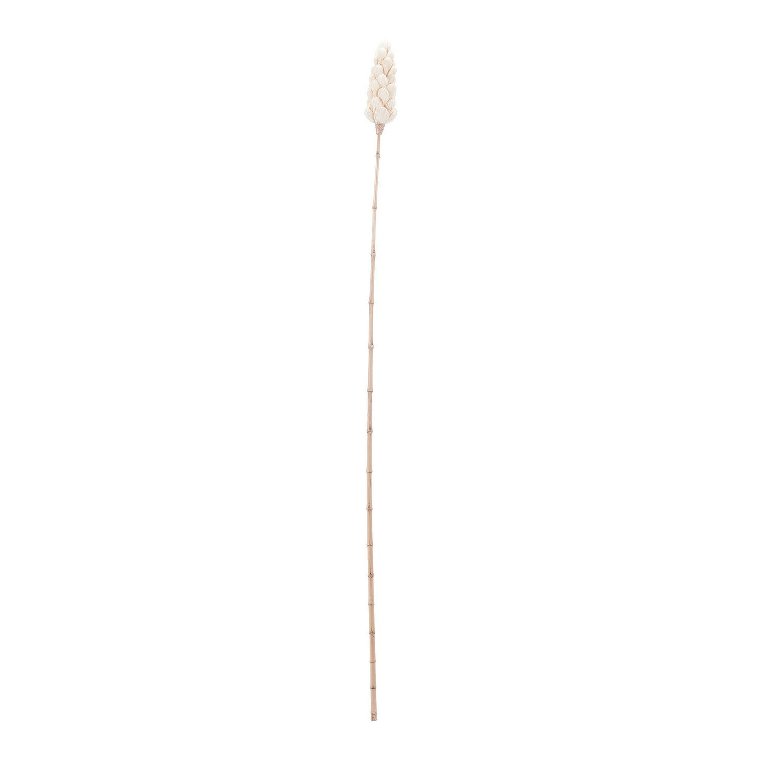 ELK Home - 7163-069N - Ornamental Accessory - Sceptre - Natural