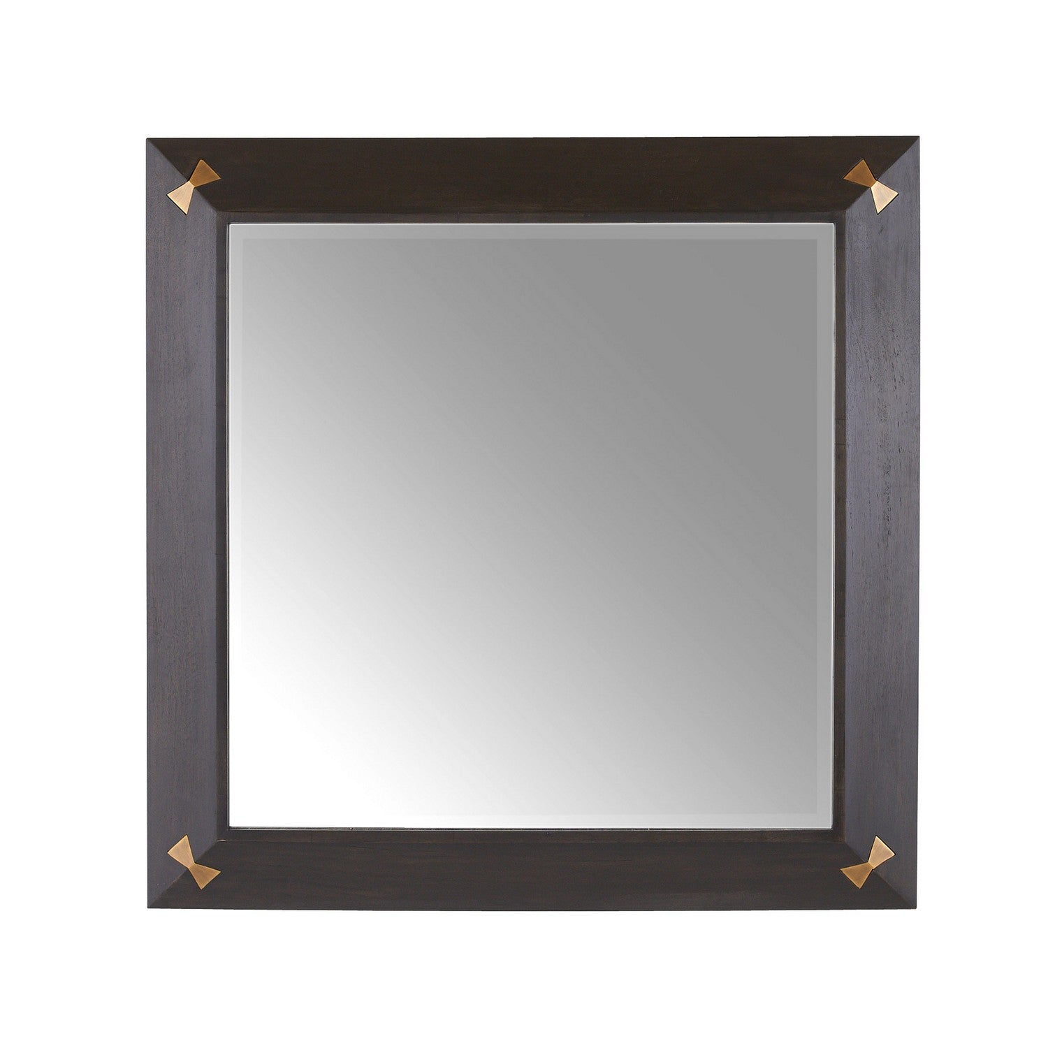 Mirror from the Calpini collection in Sable/Antique Brass/Plain finish