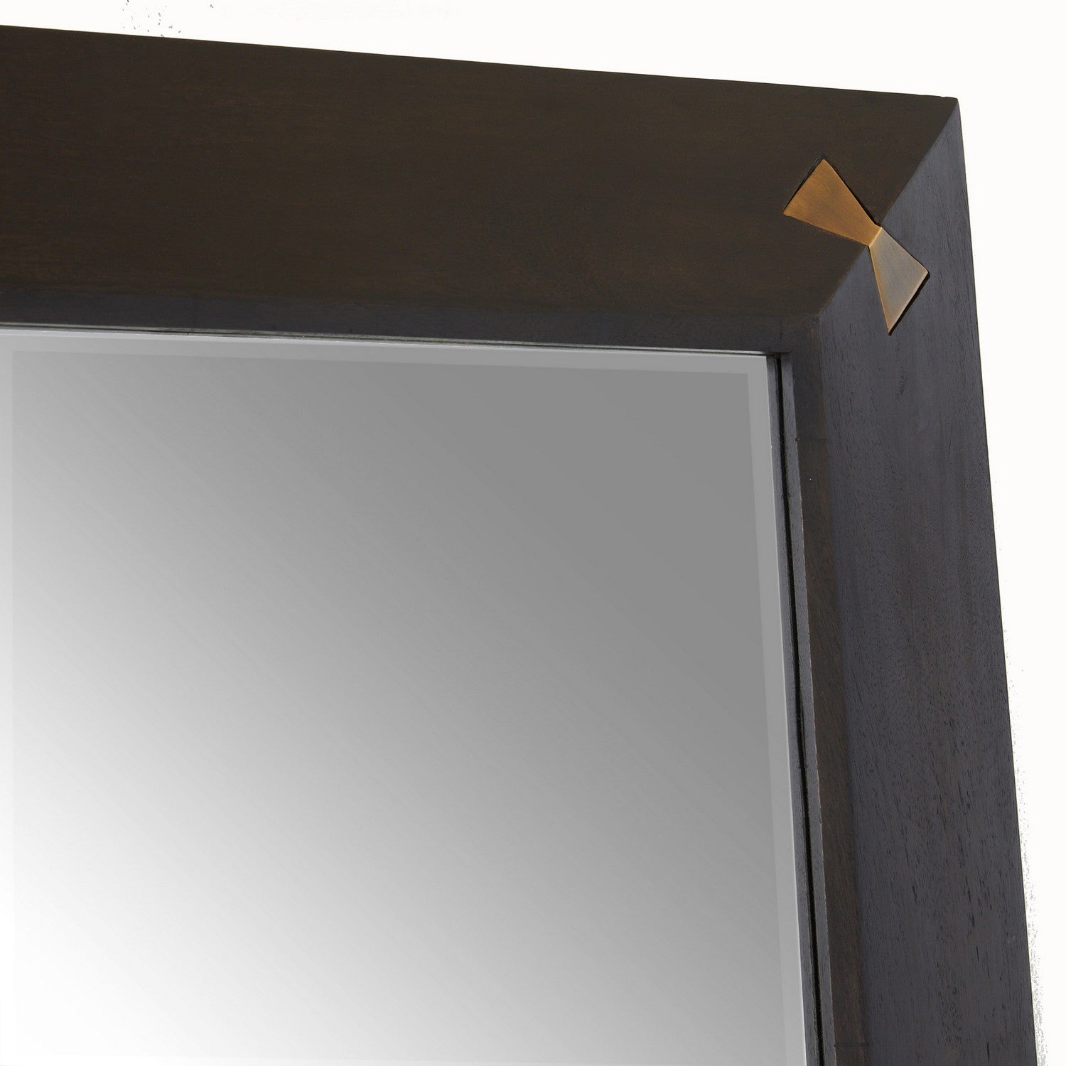 Mirror from the Calpini collection in Sable/Antique Brass/Plain finish