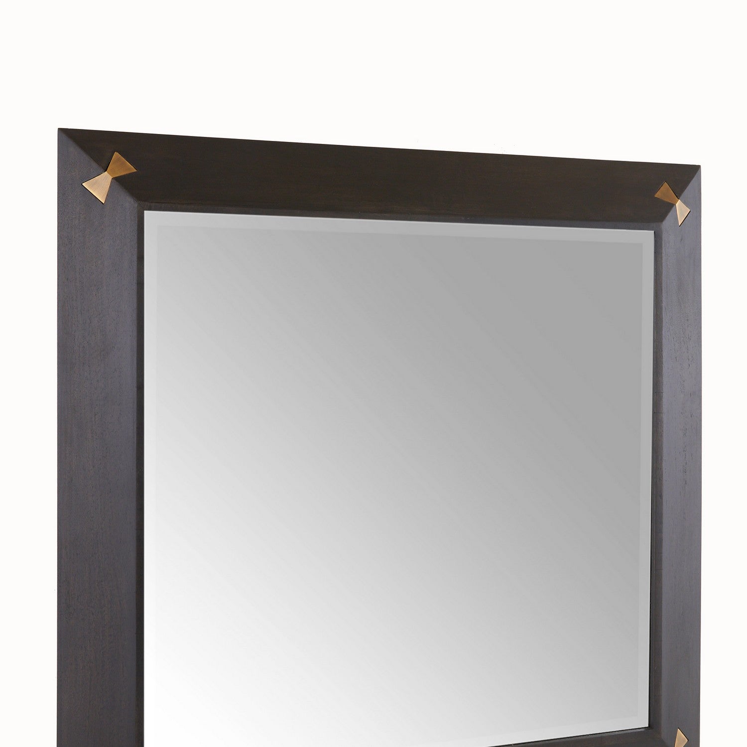 Mirror from the Calpini collection in Sable/Antique Brass/Plain finish