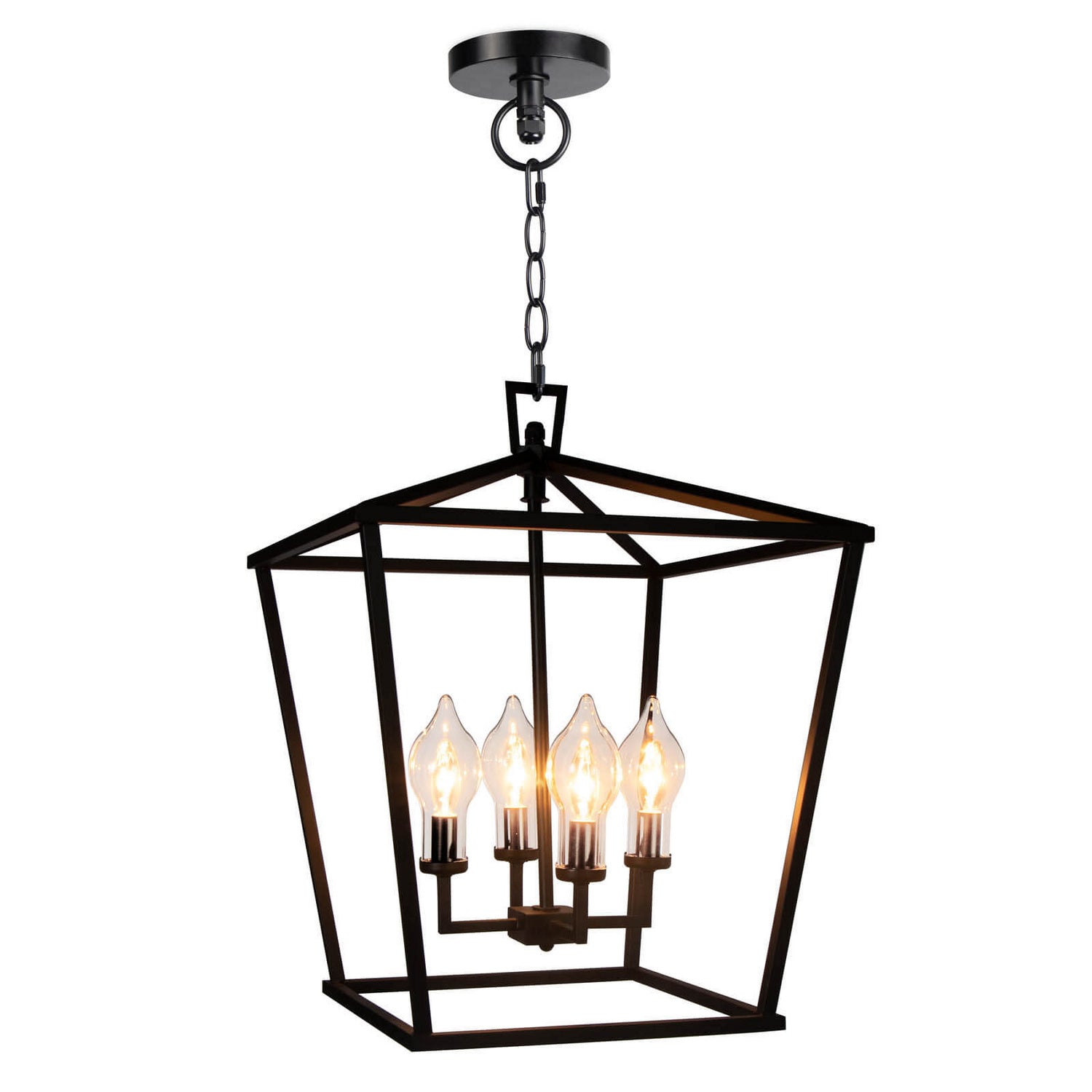 Regina Andrew - 17-1016 - Four Light Outdoor Lantern - Hampton - Black