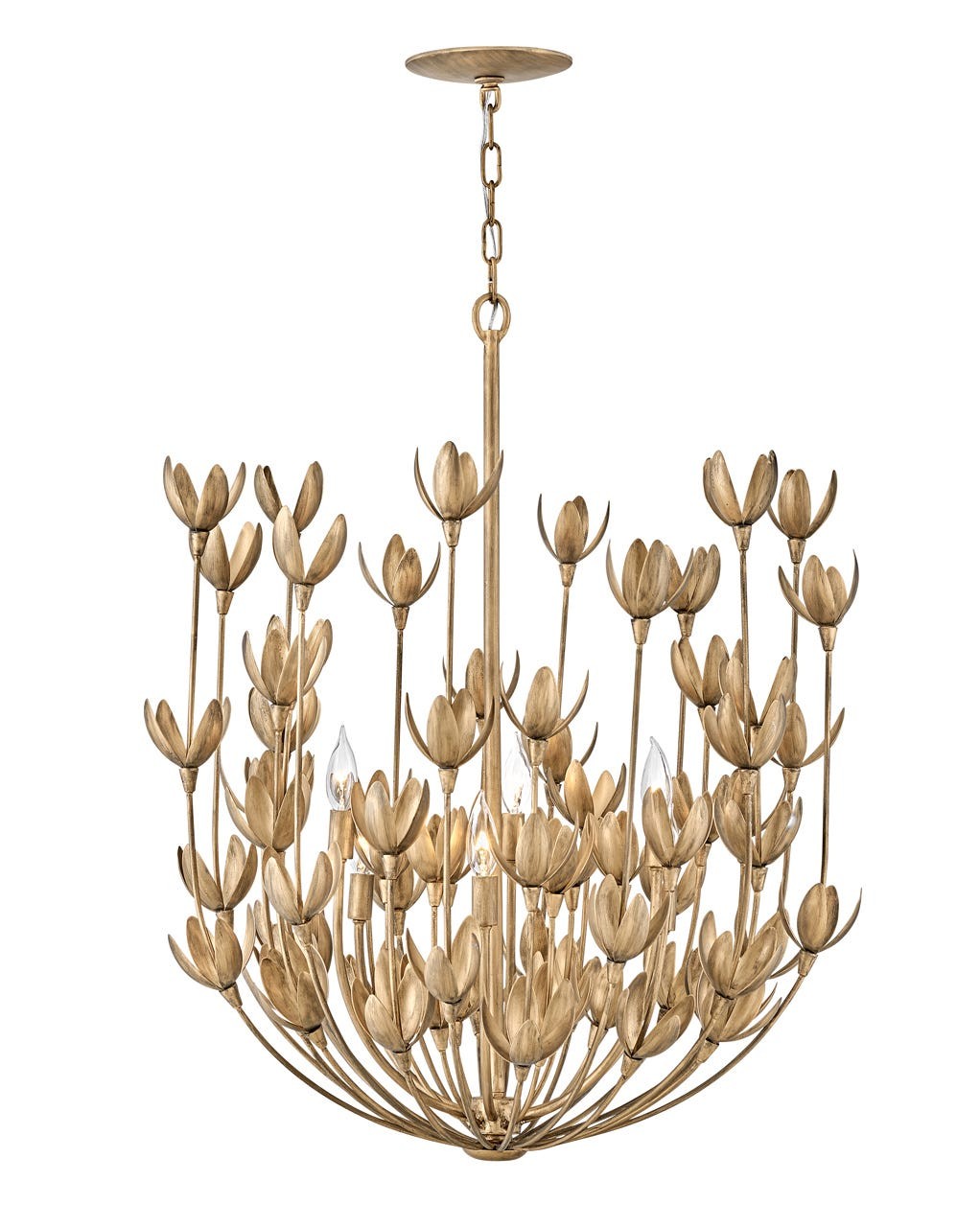 Hinkley - 30016BNG - LED Chandelier - Flora - Burnished Gold