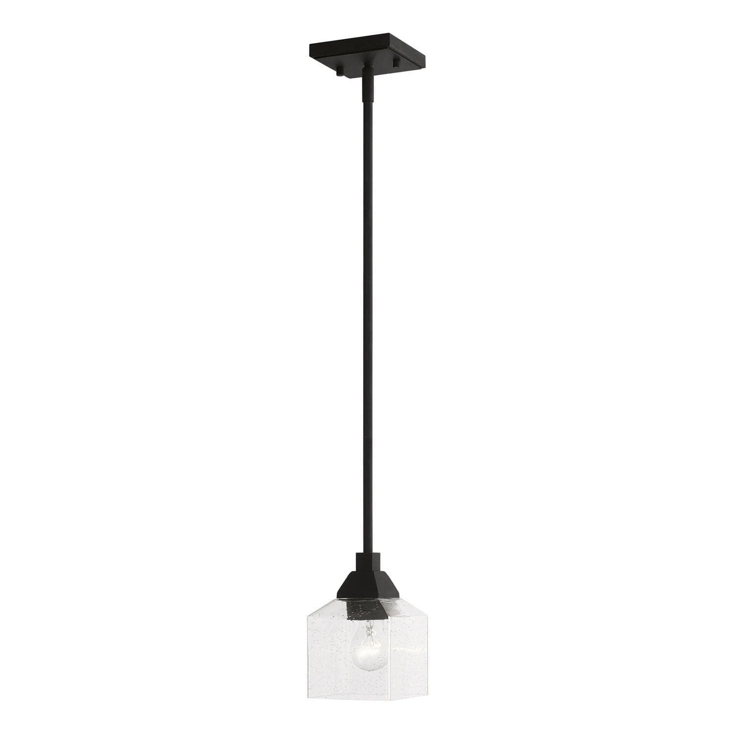 Livex Lighting - 49761-04 - One Light Mini Pendant - Aragon - Black