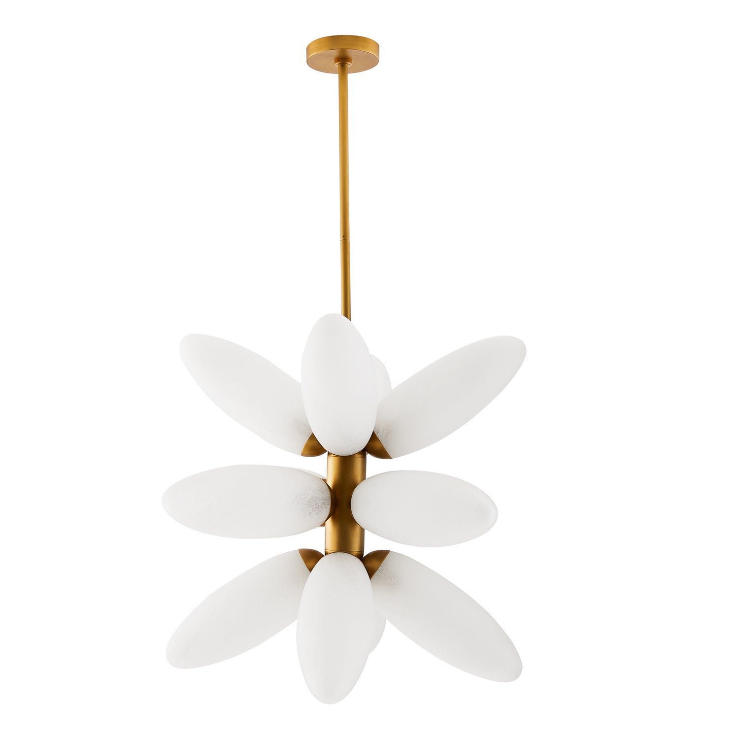 12 Light Chandelier from the Starling collection in Brushed Brass finish