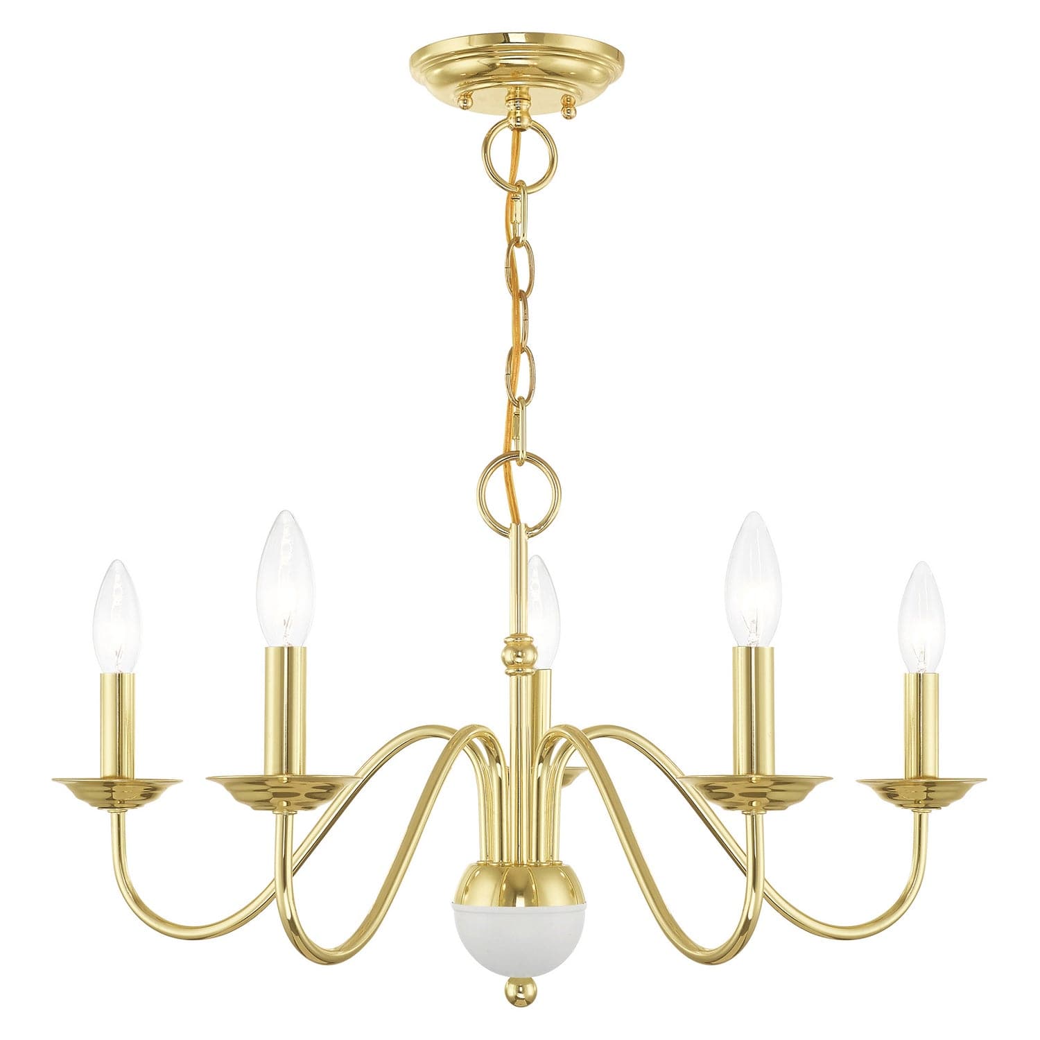Livex Lighting - 52165-02 - Five Light Chandelier - Windsor - Polished Brass w/ White