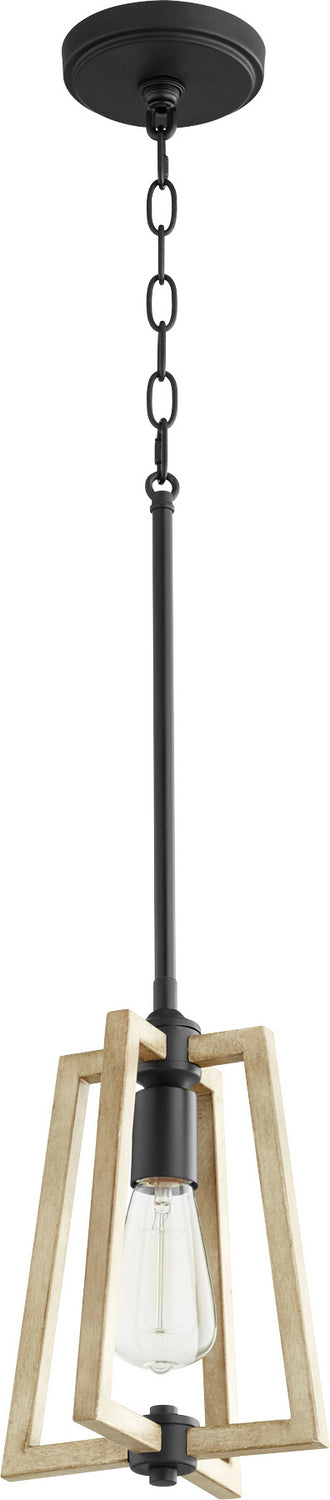 Quorum - 3189-69 - One Light Pendant - Alpine - Textured Black w/ Driftwood finish