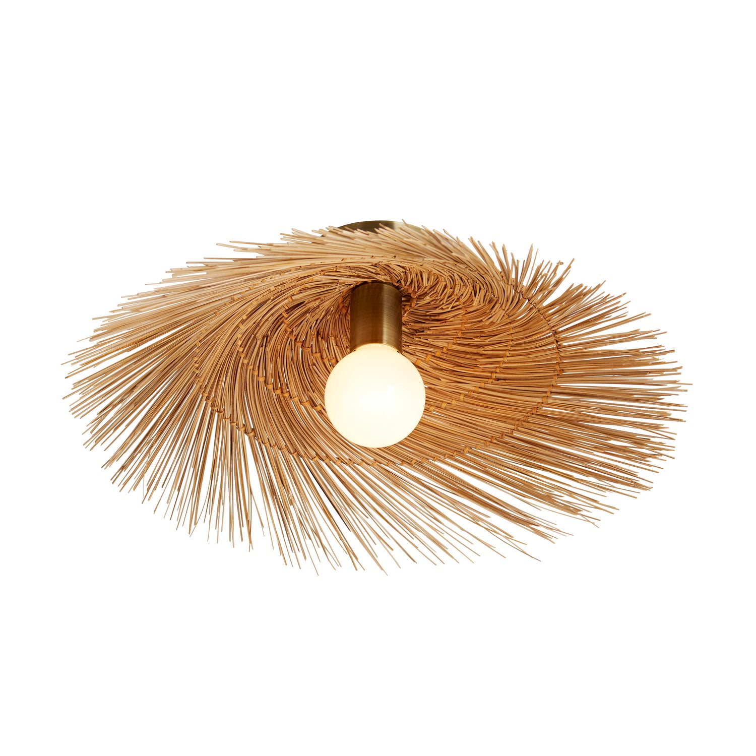 One Light Sconce/ Ceiling Mount from the Hayes collection in Natural finish