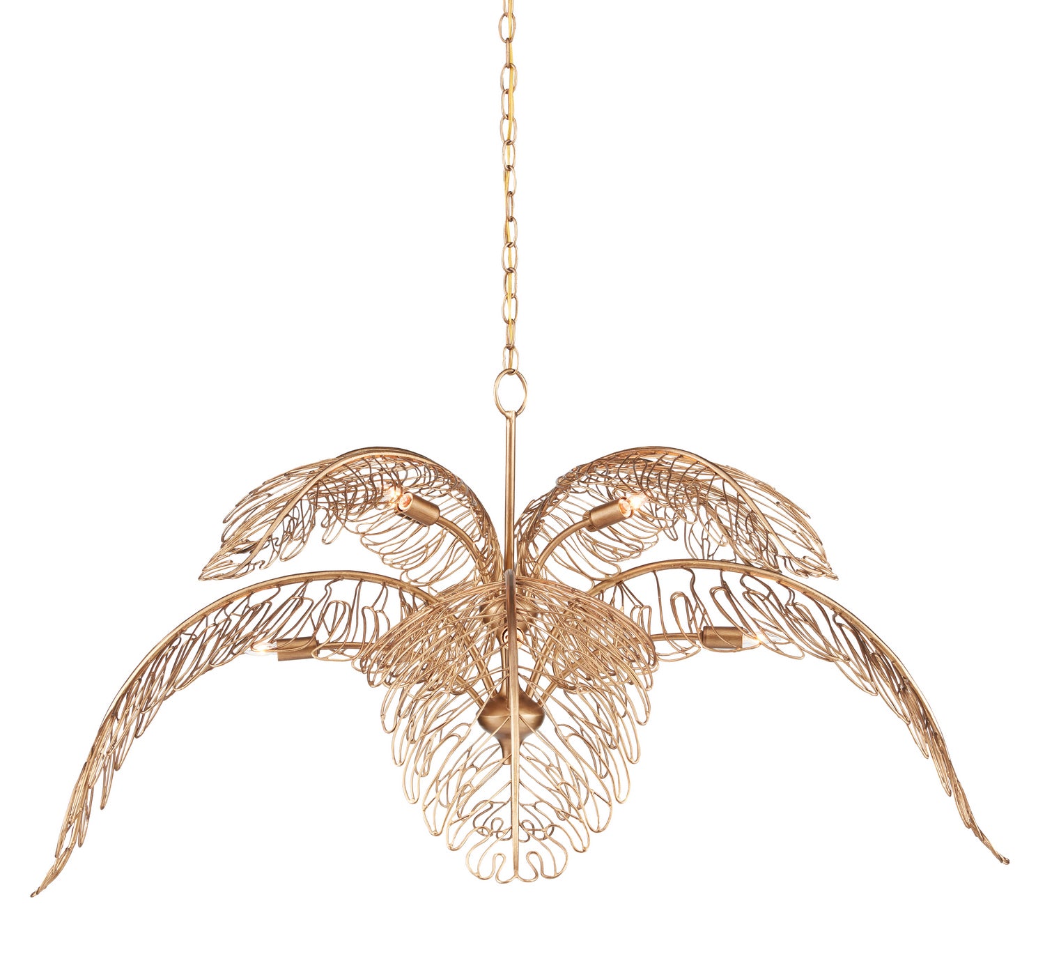 Eight Light Chandelier from the Taormina collection in Brass finish